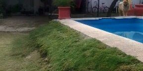 Casa en Venta en Villa Anizacate con 3 dorm., 2 amb., 180 m2 cubiertos y 400 m2 totales - imagen 8
