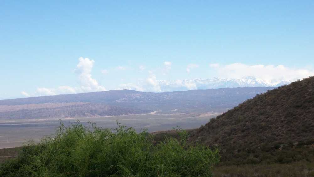 Tu próximo Terreno en Venta en Lujan de Cuyo · dueño directo · 1 ha - Imagen 3