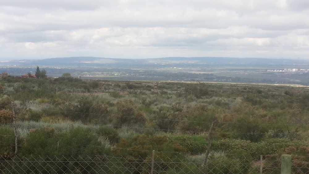 Lote En "la Crucesita" - Campo en Venta en Lujan de Cuyo con Recreativo y 1 ha - imagen 12