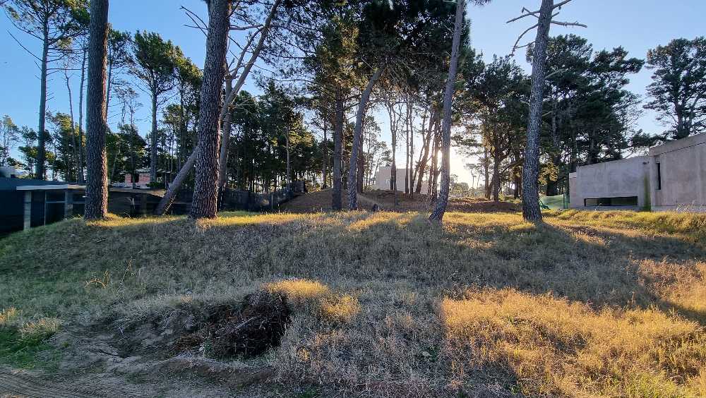 Casa disponible para la en Venta en Pinamar · dueño directo · 1,01 m² de lote - Imagen 3