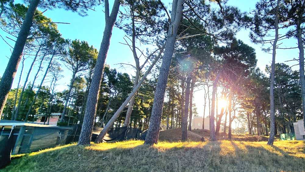 Casa disponible para la en Venta en Pinamar · dueño directo · 1,01 m² de lote - Imagen 4