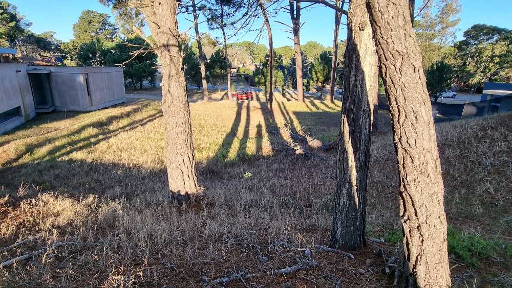 Lote pinamar 1006m - Imagen 5