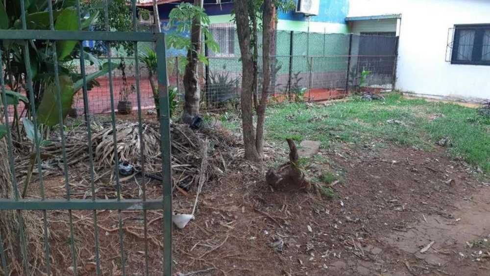Casa En Venta En Zona Centro Puerto Iguaz - Casa en Venta en Puerto Iguazú con 4 dorm., 6 amb., 504 m2 cubiertos y 504 m2 totales - imagen 9