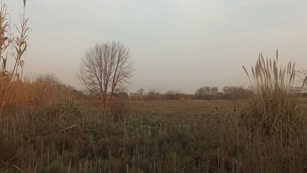Terrebo En Venta Financiado - Terreno en Venta en Merlo con 250 m2 de terreno - imagen 8