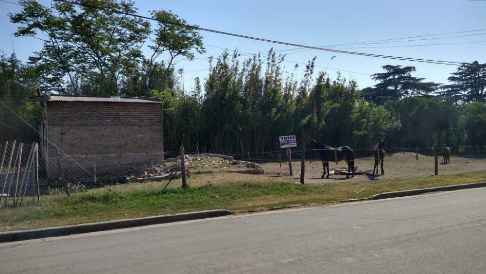 TERRENO EN VENTA, V. SANGUINETTI, ARRECIFES (BA) - Imagen 4
