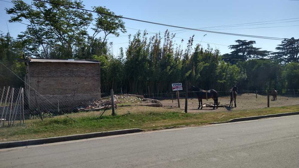 Terreno En Venta, V. Sanguinetti, Arrecifes (ba) - Terreno en Venta en Arrecifes con 654 m2 de terreno - imagen 7