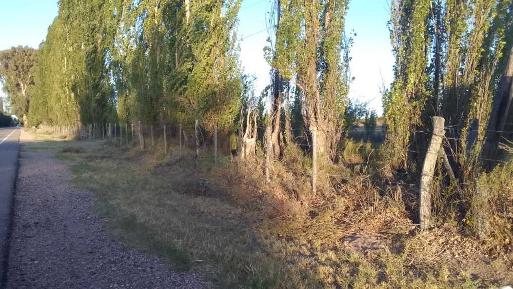 Tu próximo Campo en Venta en San Rafael · dueño directo · 5 ha - Imagen 1