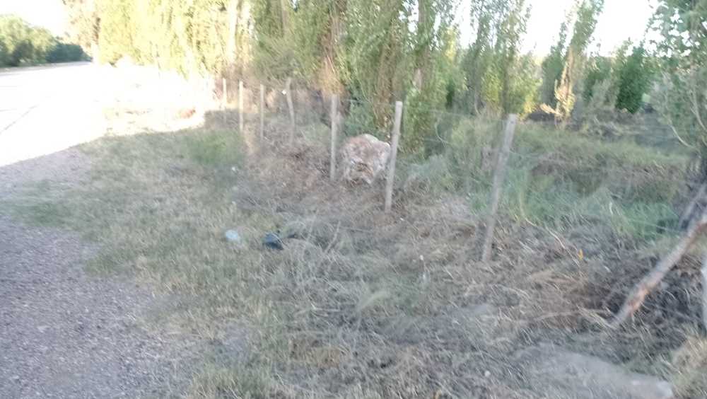 Tu próximo Campo en Venta en San Rafael · dueño directo · 5 ha - Imagen 3