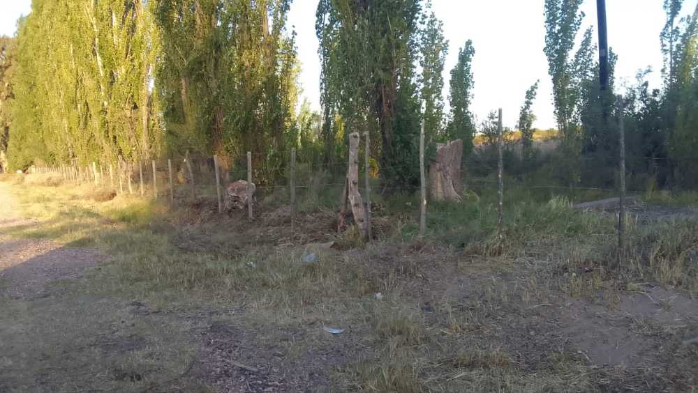 Tu próximo Campo en Venta en San Rafael · dueño directo · 5 ha - Imagen 4