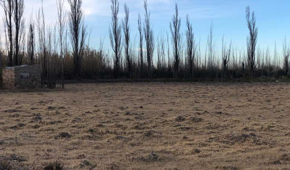 Ruta Nac 143, limite con La Pampa, General Alvear