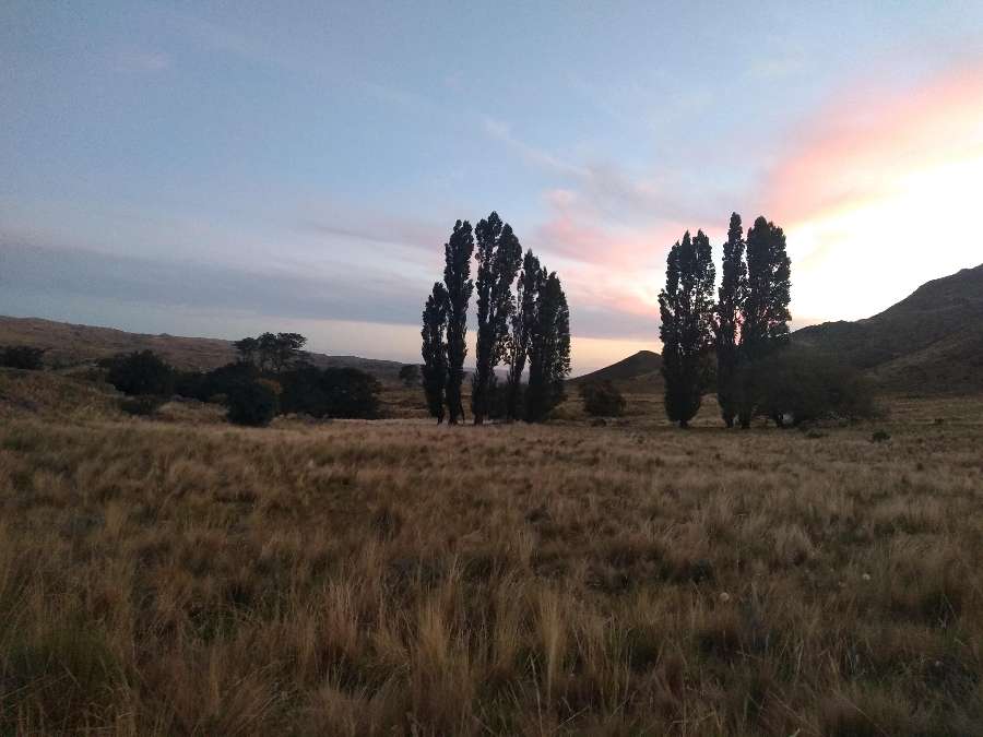 Campo único en Cruz del Eje en Venta · dueño directo · 120 ha - Imagen 1
