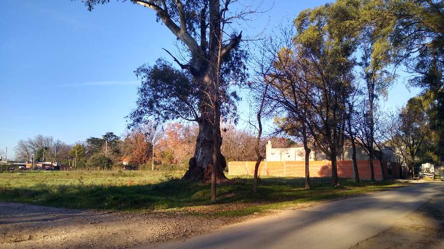 Nuevo Loteo/terrenos - Terreno en Venta en Libertad con 390 m2 de terreno - imagen 3