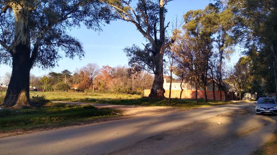 Nuevo Loteo/terrenos - Terreno en Venta en Libertad con 390 m2 de terreno - imagen 5