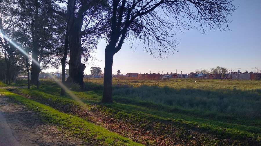 Nuevo Loteo/terrenos - Terreno en Venta en Libertad con 390 m2 de terreno - imagen 6