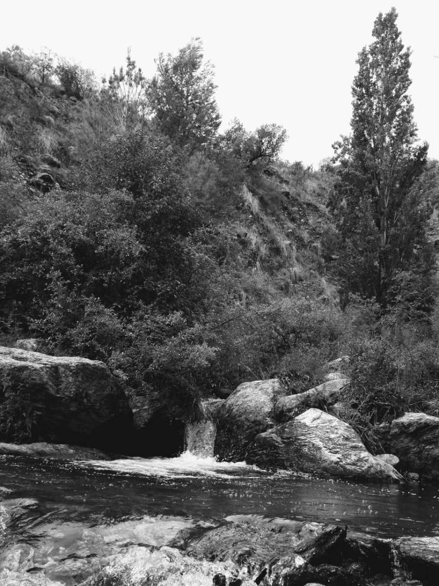 Excelente Campo en Villa Dolores en Venta · dueño directo · 5 ha - Imagen 1