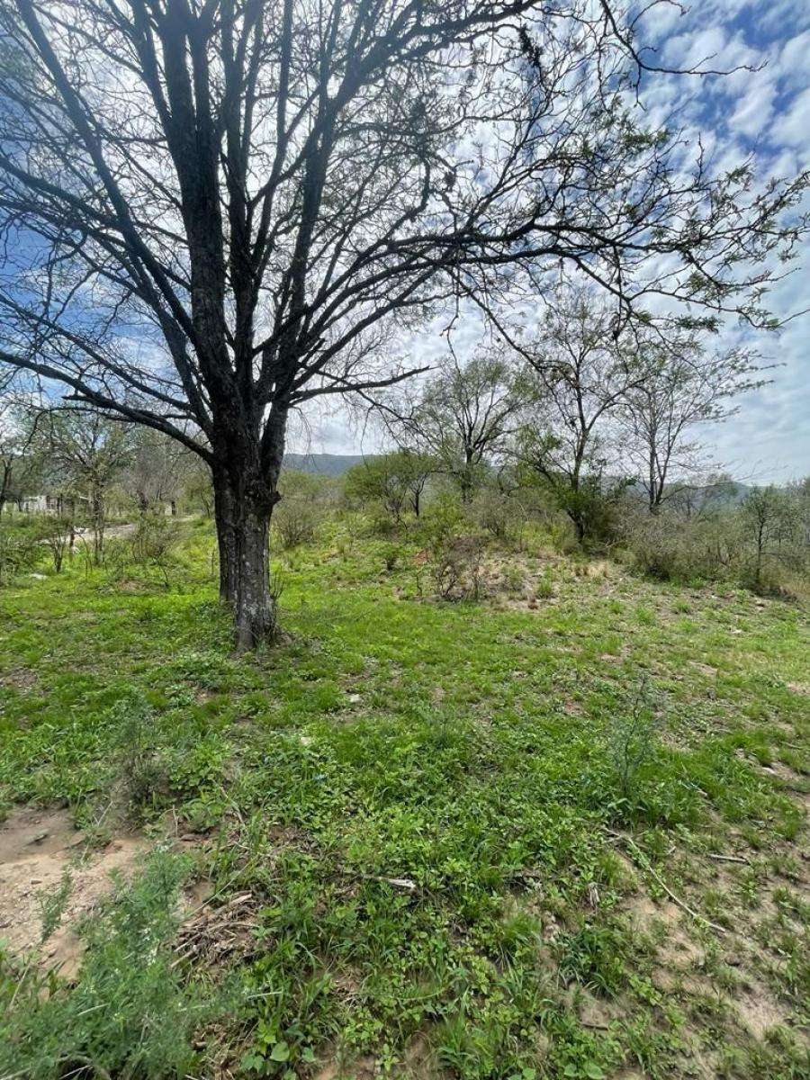 VENDO LOTE EN COSQUIN (LA MANDIGA) - Imagen 1