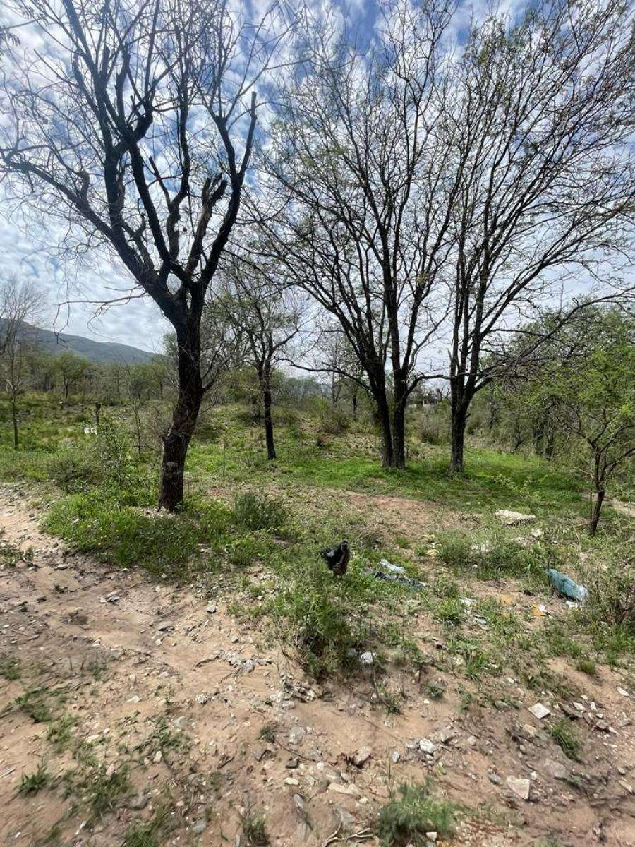 VENDO LOTE EN COSQUIN (LA MANDIGA) - Imagen 3