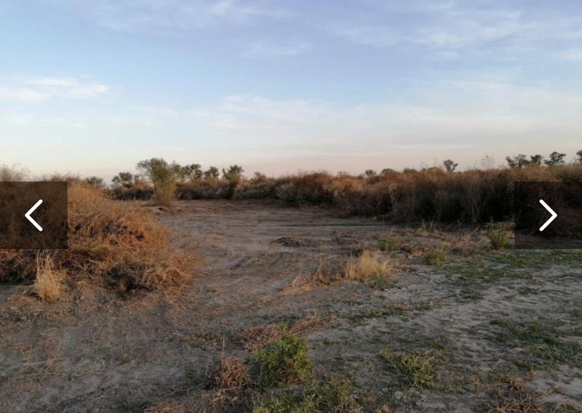 Lote en La soñada - Imagen 1