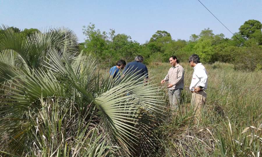 Campo en Text corpus en Venta · dueño directo · 50 ha - Imagen 2