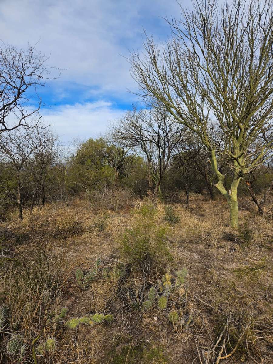 Oportunidad: Terreno en Venta en Villa Dolores · frente 10 m · largo 30 m · 300 m² de lote · dueño directo - Imagen 4