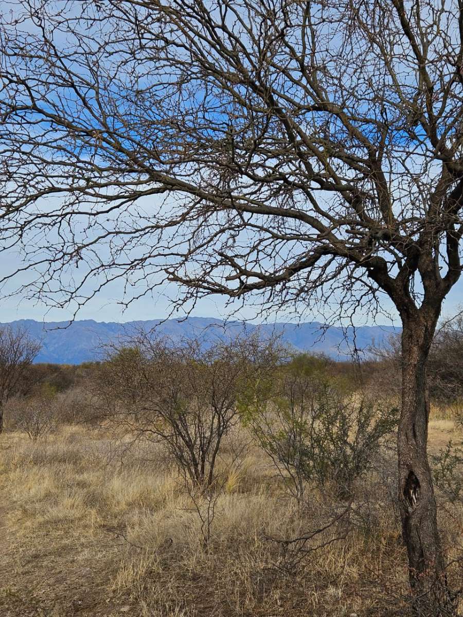 Ltimos Terrenos En Sauce Arriba Traslasierra - Terreno en Venta en Villa Dolores con 300 m2 de terreno - imagen 8