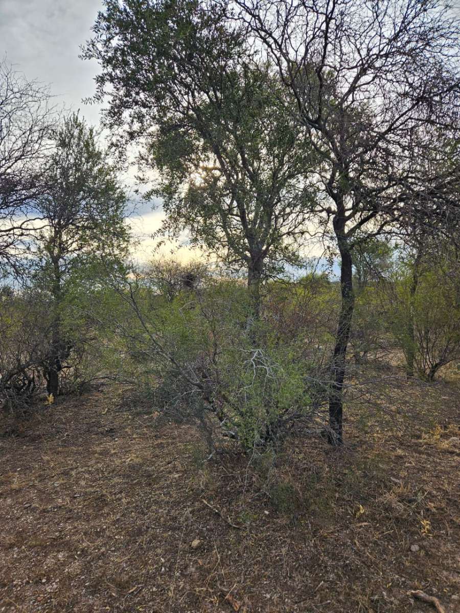 Ltimos Terrenos En Sauce Arriba Traslasierra - Terreno en Venta en Villa Dolores con 300 m2 de terreno - imagen 9