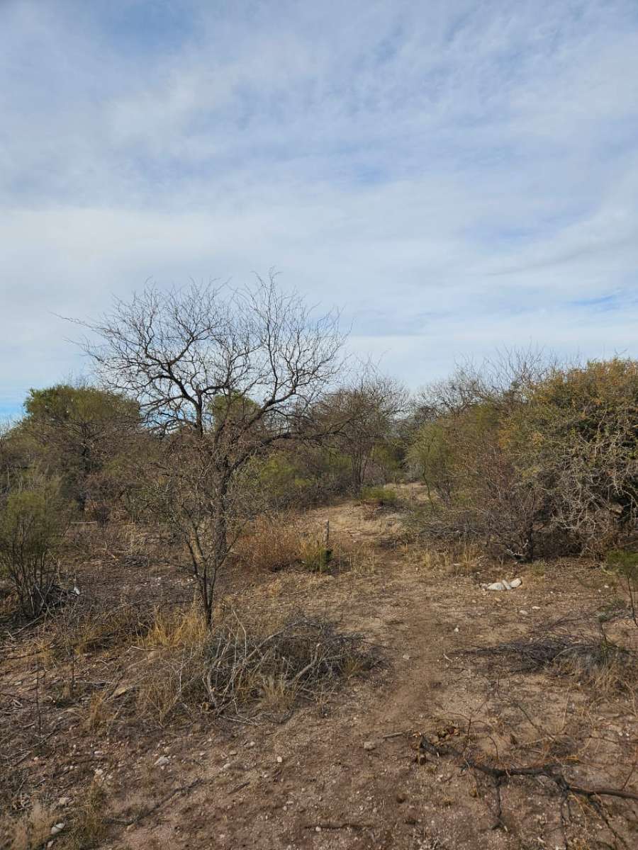 Últimos Terrenos en Sauce Arriba Traslasierra - Imagen 5
