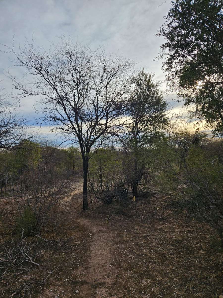 Ltimos Terrenos En Sauce Arriba Traslasierra - Terreno en Venta en Villa Dolores con 300 m2 de terreno - imagen 7