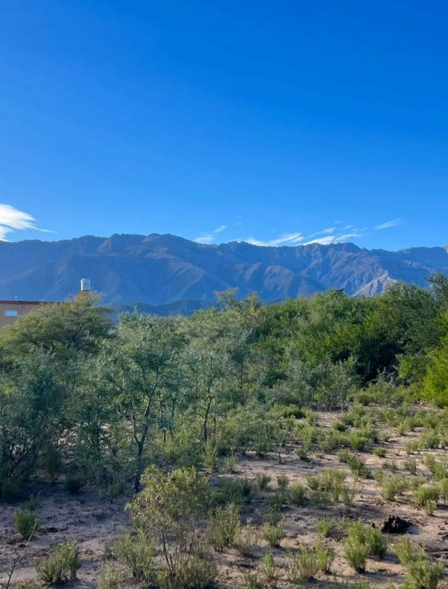 Terreno en Venta en Villa Las Rosas, · frente 27 m · largo 57 m · 1,53 m² de lote · dueño directo - Imagen 2