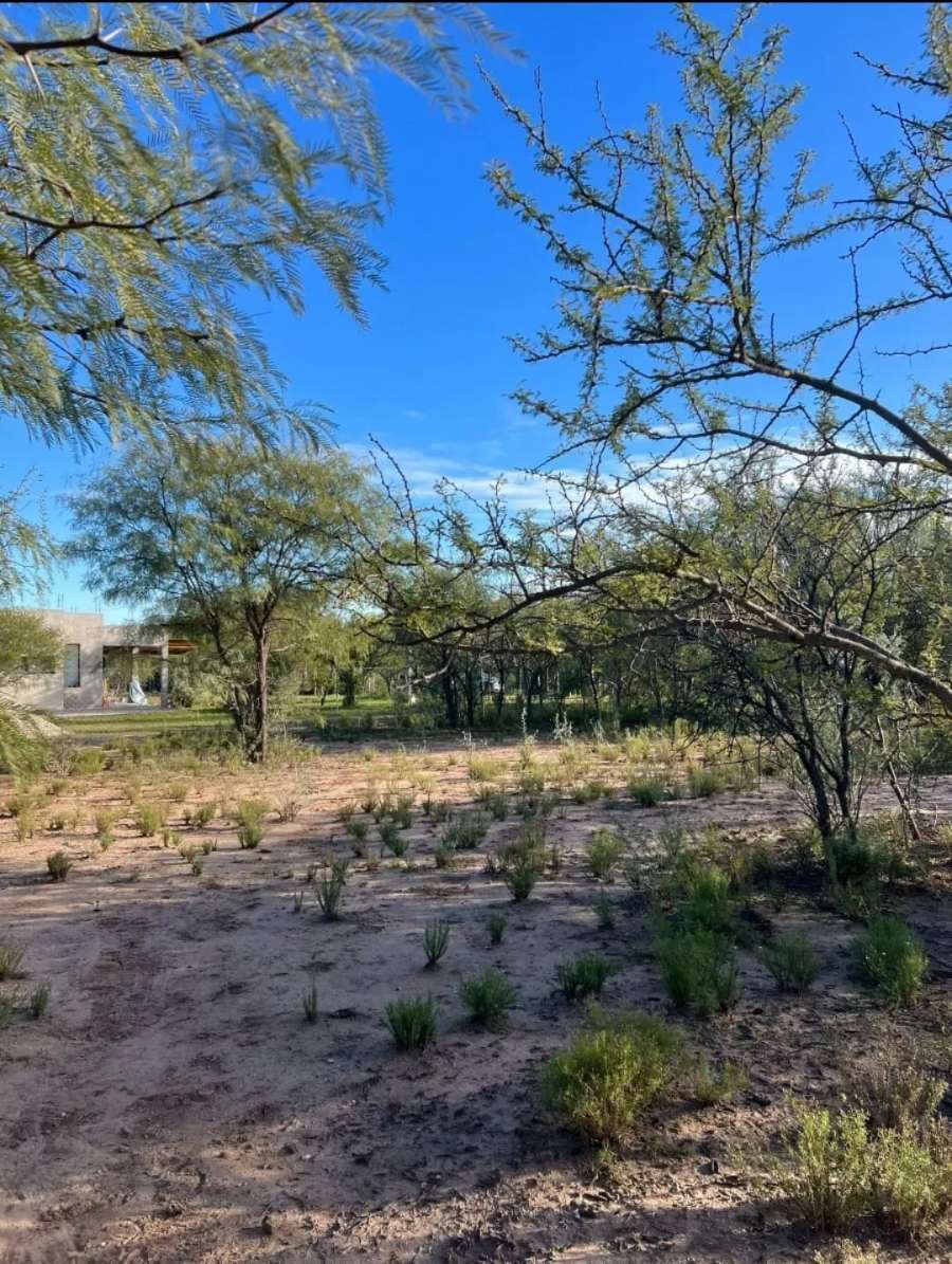 Terreno en Venta en Villa Las Rosas, · frente 27 m · largo 57 m · 1,53 m² de lote · dueño directo - Imagen 3