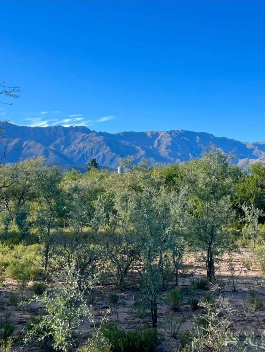 Terreno en Venta en Villa Las Rosas, · frente 27 m · largo 57 m · 1,53 m² de lote · dueño directo - Imagen 4