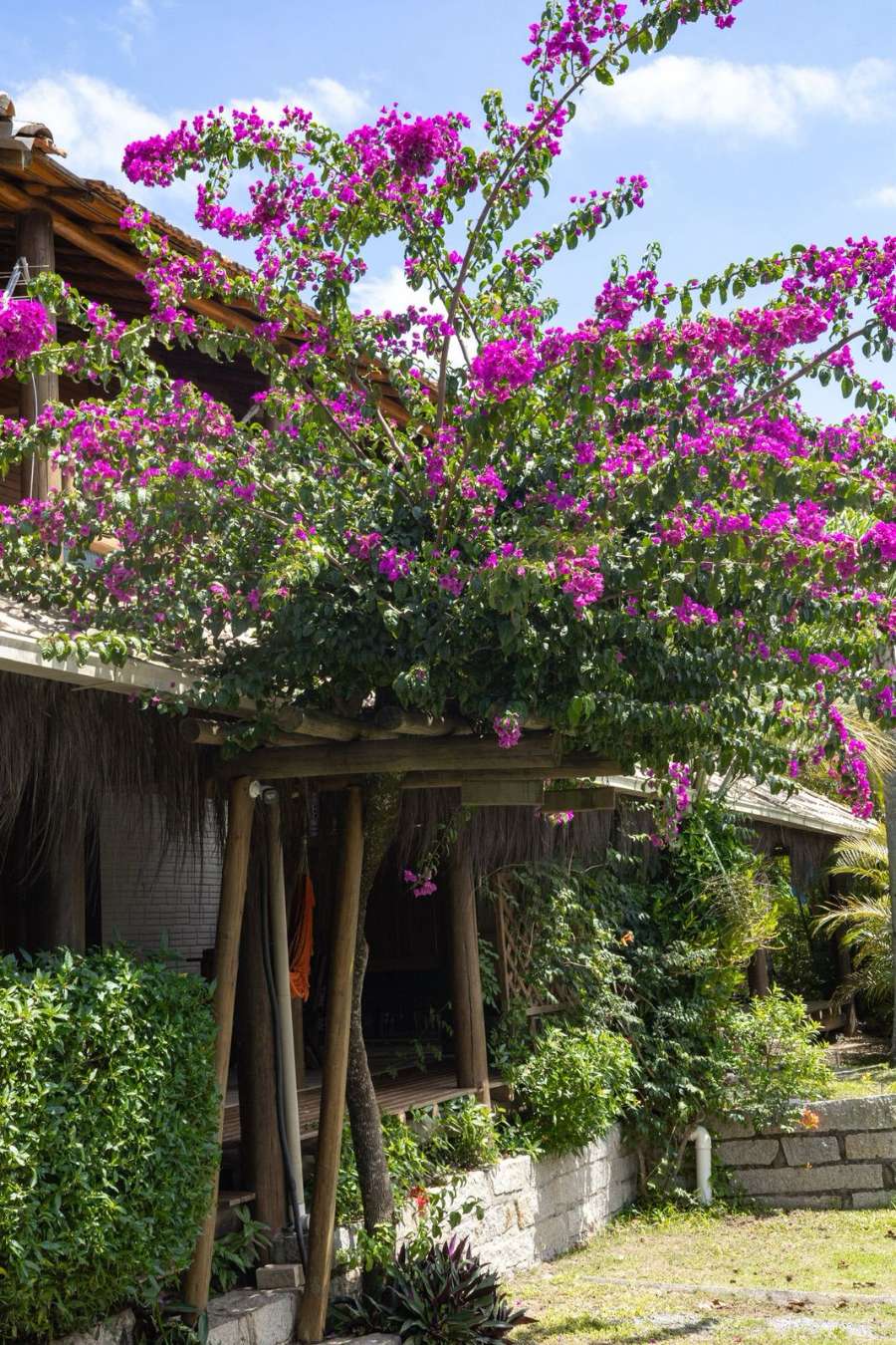 Alquiler De Casas En Praia Do Rosa, Santa Catarina, Brasil - Casa en Temporario en Vicente Lopez con 3 dorm., 4 amb., 150 m2 cubiertos y 800 m2 totales - imagen 13