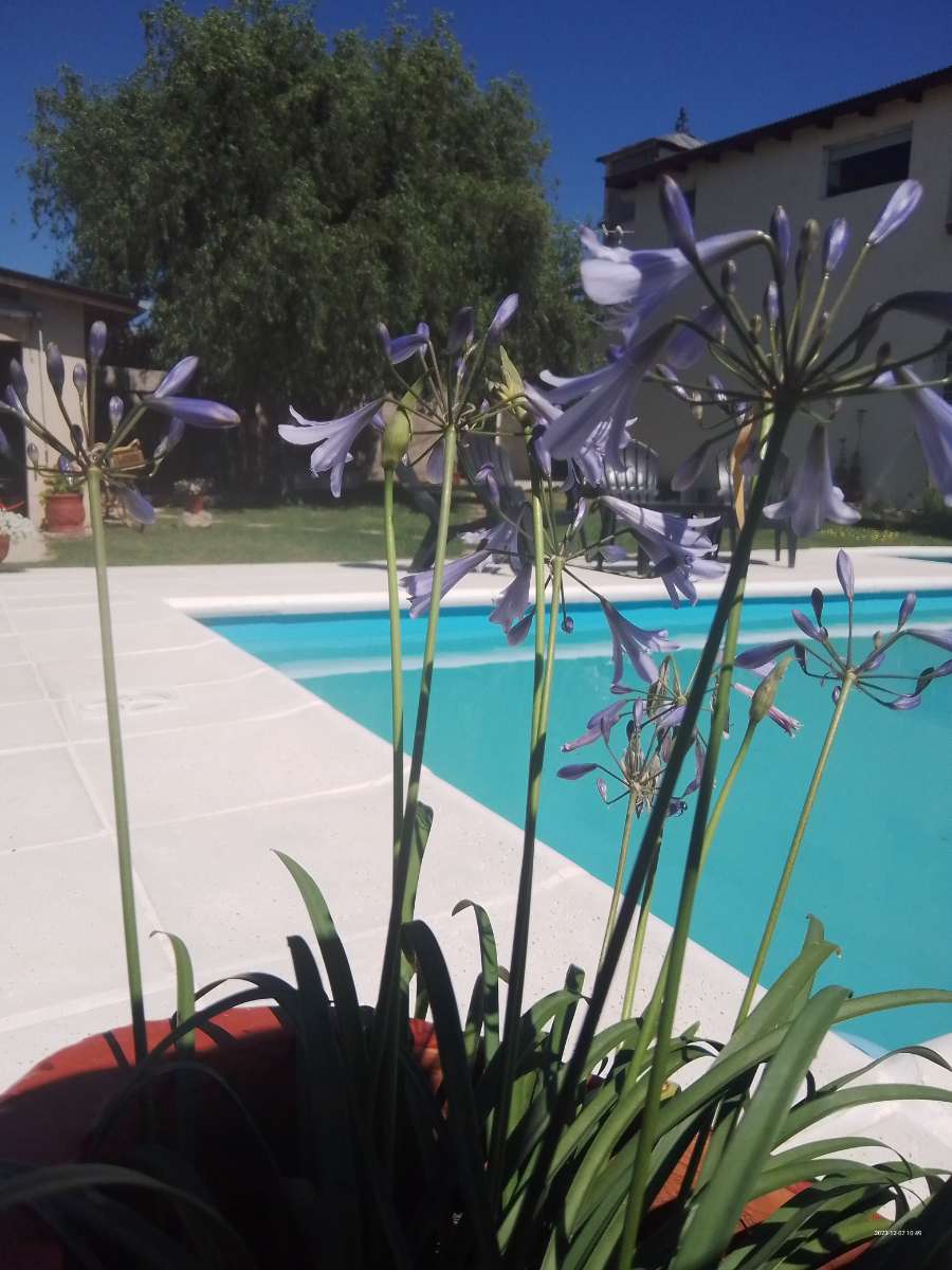 Departamento en Temporario en Villa Carlos Paz con · dueño directo · 1 dorm · cochera · 1 m² de lote - Imagen 1