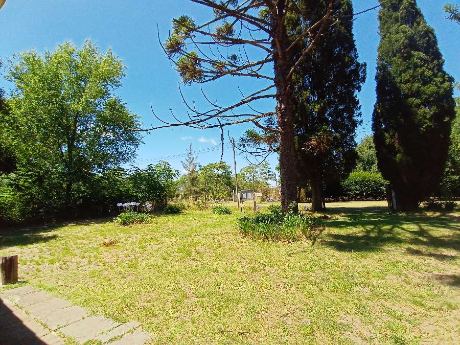 Quinta a una hora de CABA con casa de 4 ambientes, parrilla, pileta, Galpón - Imagen 3