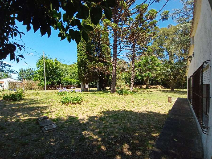 Quinta a una hora de CABA con casa de 4 ambientes, parrilla, pileta, Galpón - Imagen 4