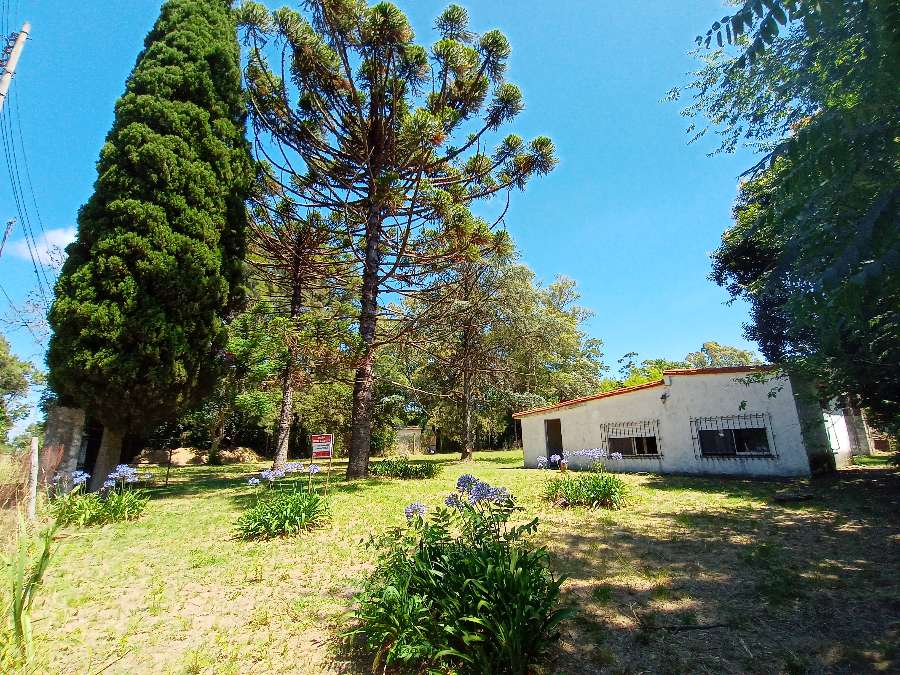 Quinta a una hora de CABA con casa de 4 ambientes, parrilla, pileta, Galpón - Imagen 5