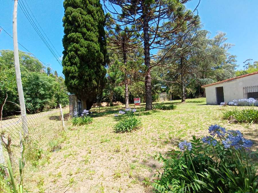 Quinta A Una Hora De Caba Con Casa De 4 Ambientes, Parrilla, Pileta, Galpn - Campo en Venta en Zárate con 0.225 ha - imagen 6