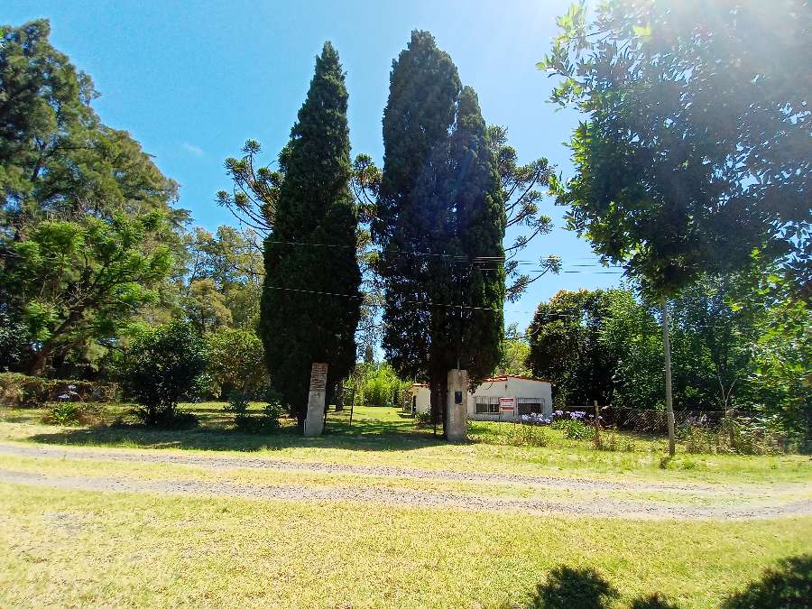 Quinta A Una Hora De Caba Con Casa De 4 Ambientes, Parrilla, Pileta, Galpn - Campo en Venta en Zárate con 0.225 ha - imagen 7