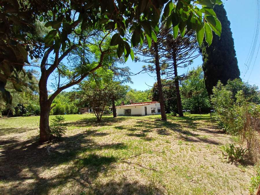 Quinta A Una Hora De Caba Con Casa De 4 Ambientes, Parrilla, Pileta, Galpn - Campo en Venta en Zárate con 0.225 ha - imagen 8