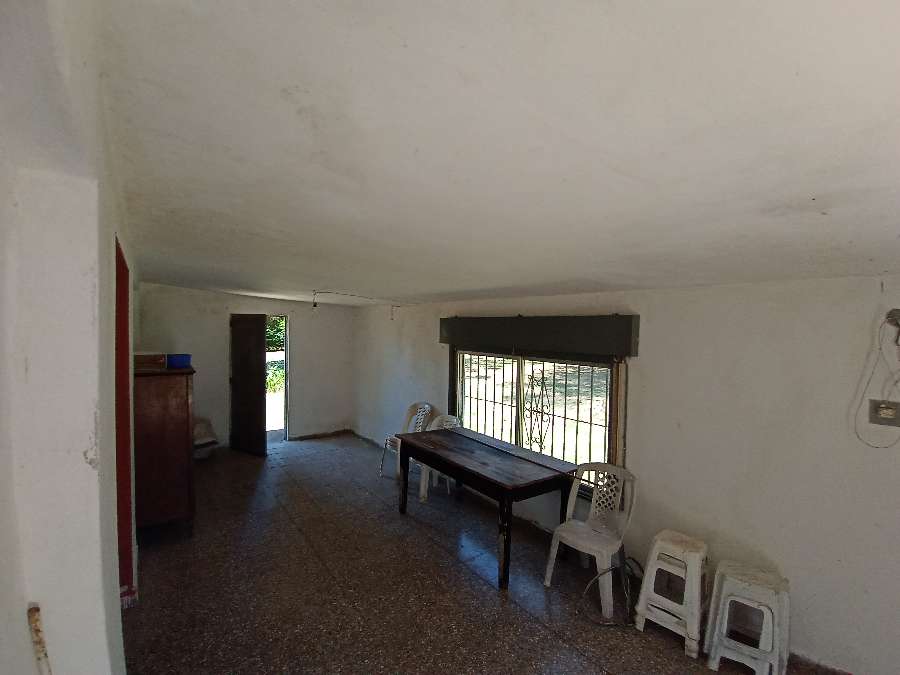 Quinta A Una Hora De Caba Con Casa De 4 Ambientes, Parrilla, Pileta, Galpn - Campo en Venta en Zárate con 0.225 ha - imagen 15