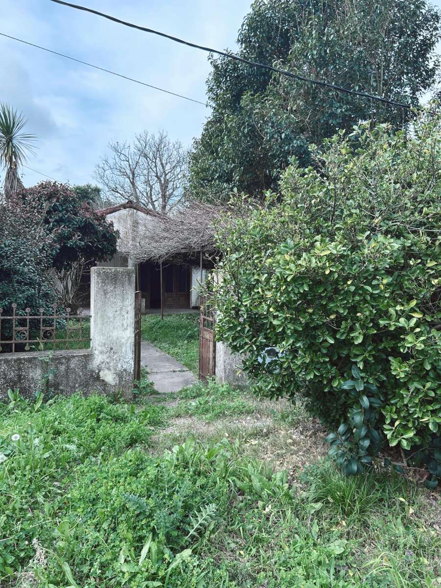 Excelente Terreno en Magdalena en Venta · 596 m² de lote · dueño directo · 3 dorm · 6 ambientes - Imagen 2