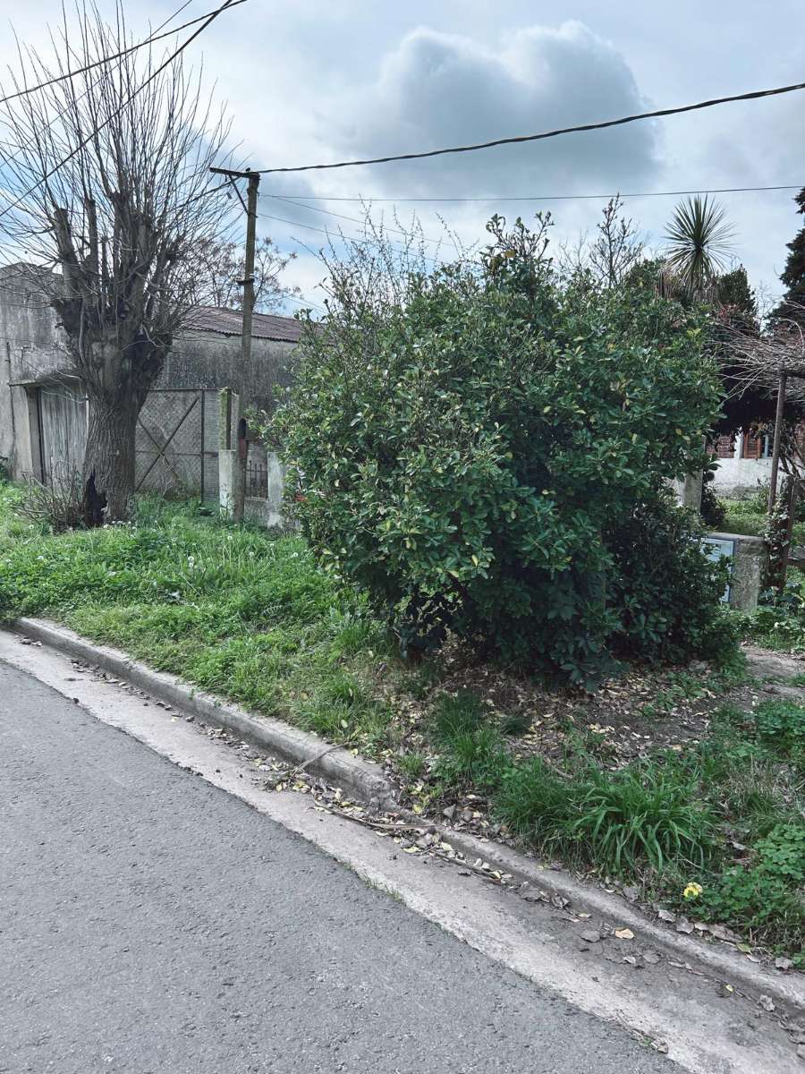 Excelente Terreno en Magdalena en Venta · 596 m² de lote · dueño directo · 3 dorm · 6 ambientes - Imagen 3