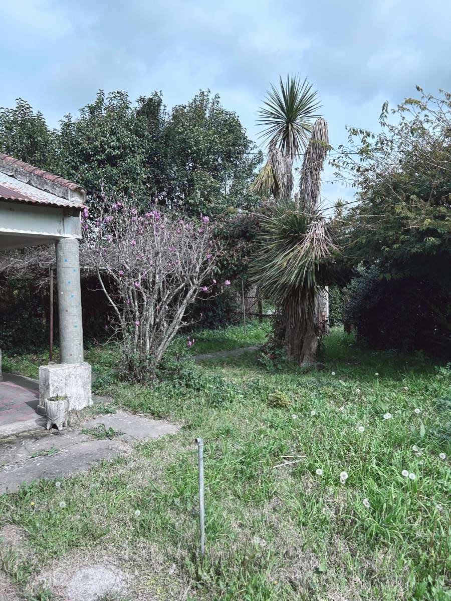 Casa En Venta A Refaccionar Con Gran Potencial - Casa en Venta en Magdalena con 3 dorm., 6 amb., 160 m2 cubiertos y 596 m2 totales - imagen 11