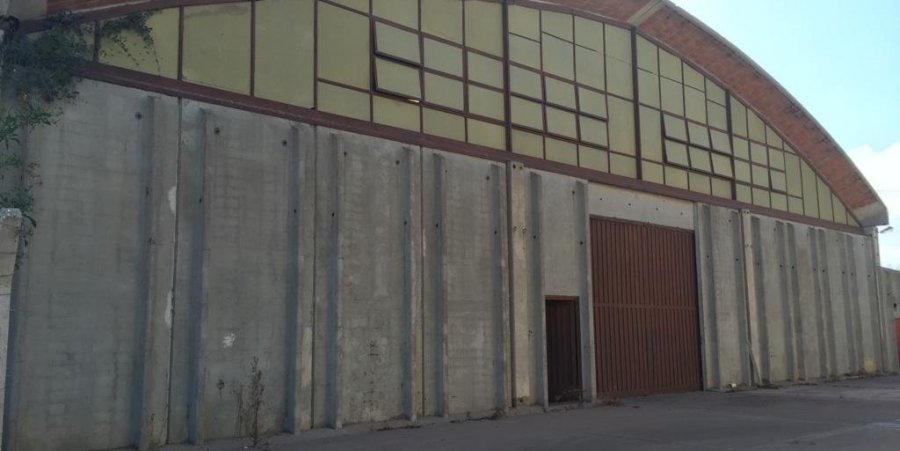 Galpón en Venta en San Luis con 2.000 m2 cubiertos y 12.000 m2 totales - imagen 1