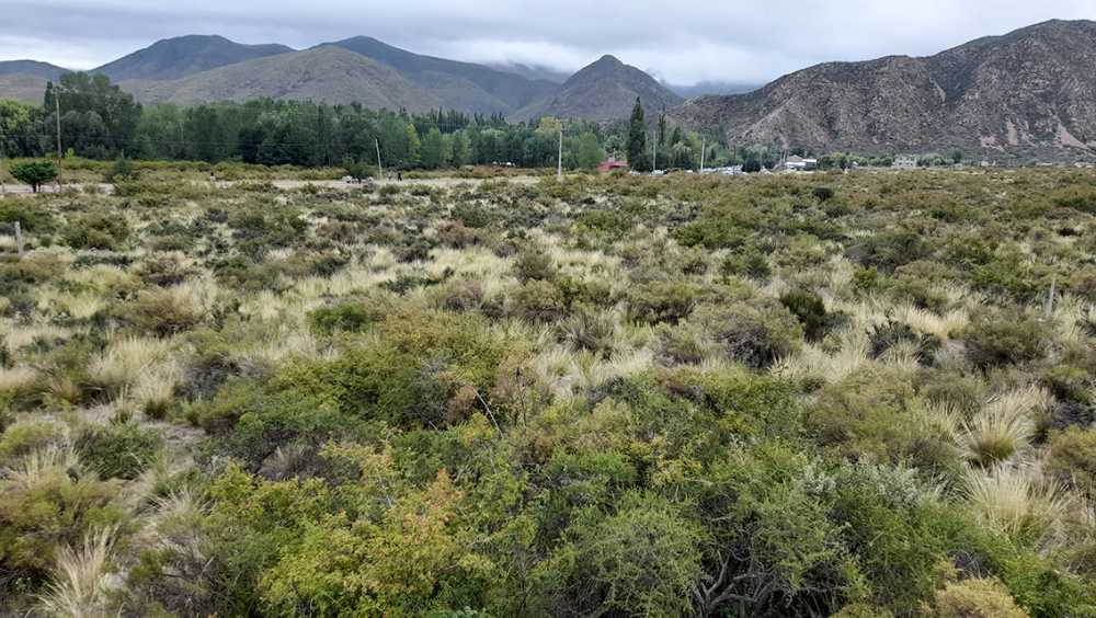 Lote En Manzano Histrico Al Pie De La Montaa - Terreno en Venta en Tunuyan con 2.000 m2 de terreno - imagen 5