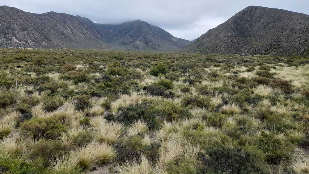 Lote En Manzano Histrico Al Pie De La Montaa - Terreno en Venta en Tunuyan con 2.000 m2 de terreno - imagen 6