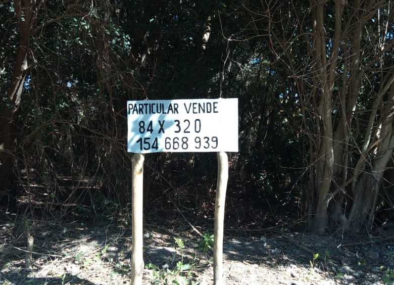 Comprar Campo en Paraná · dueño directo · 3 ha - Imagen 4