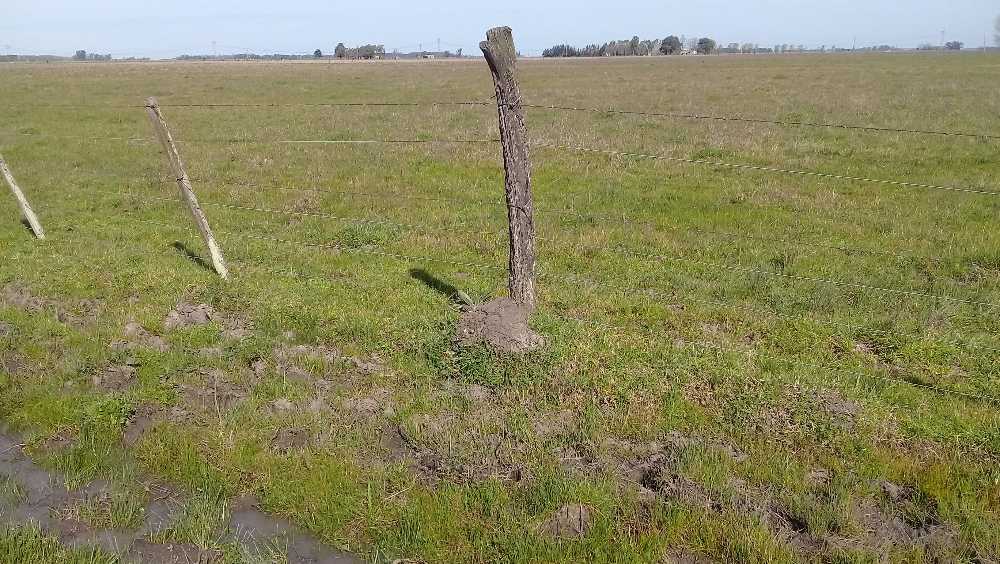 Camino de las Once Bocas, San Vicente