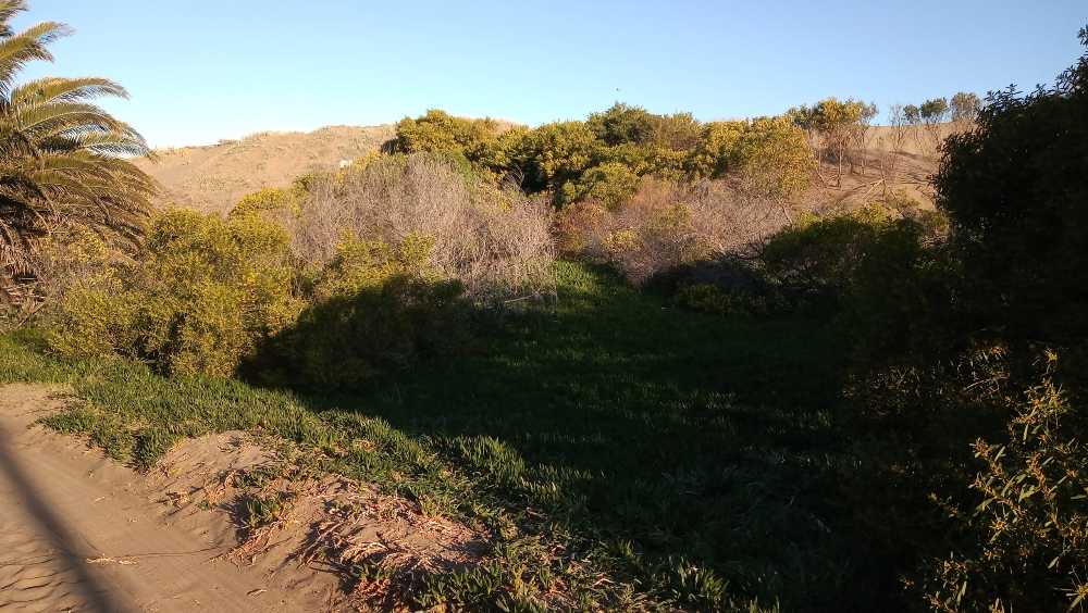 lote en sauce grande,a 2 cuadras del mar - Imagen 1