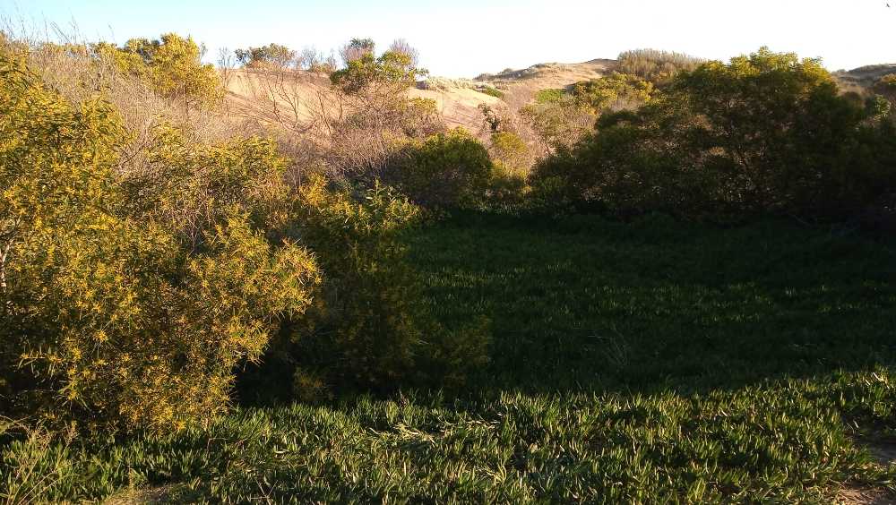 Casa en Monte Hermoso: en Venta · dueño directo · 800 m² de lote - Imagen 4
